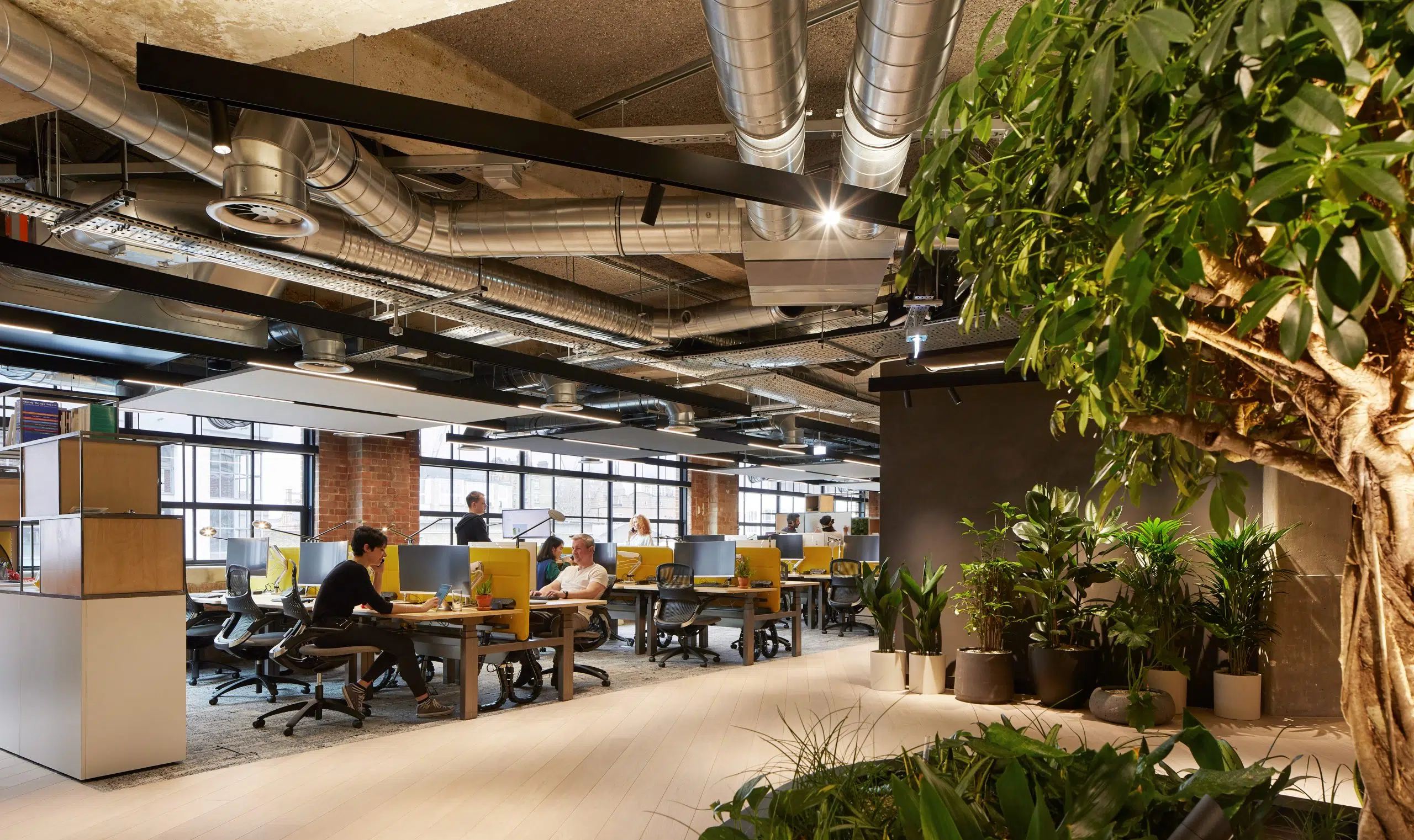 Modern office building for global NGO with SonaSpray K-13 in grey throughout inclusive London workspace for global NGO client. TP Bennett, BW Workplace Experts & Hufton+Crow photography.
